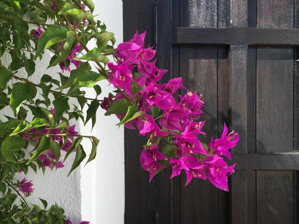 Villa De La Luz Luxury Guesthouse El Portil Dış mekan fotoğraf