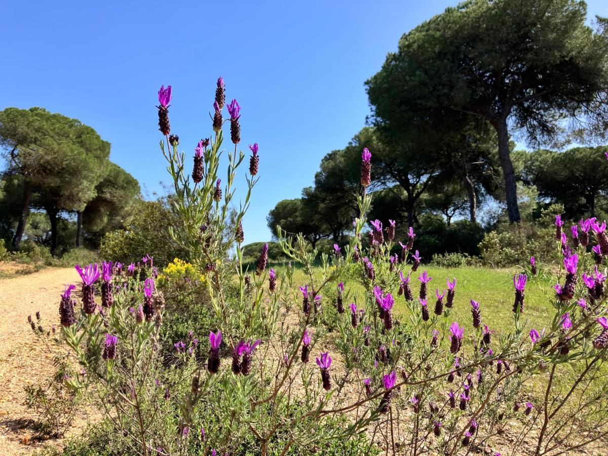 Villa De La Luz Luxury Guesthouse El Portil Dış mekan fotoğraf